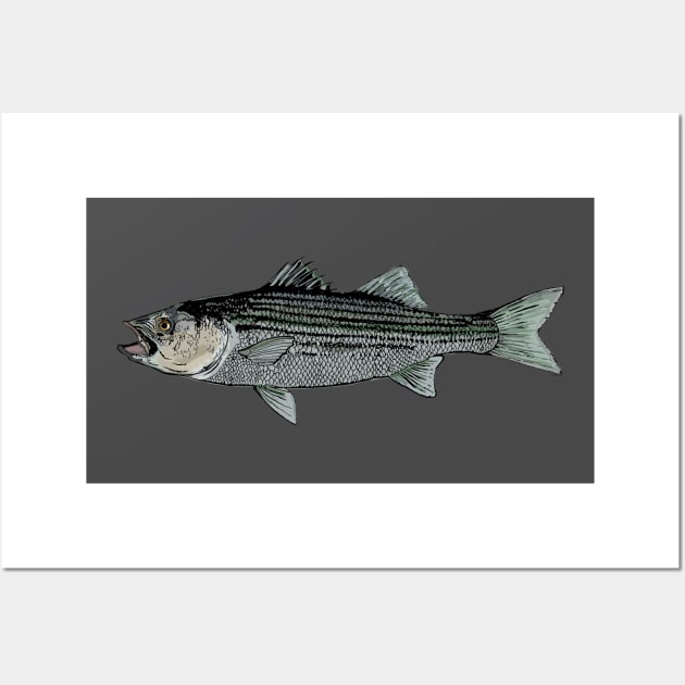 Striped bass Wall Art by Hook Ink